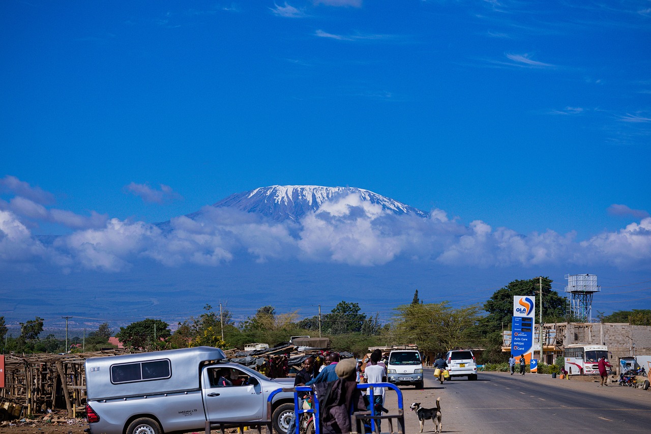 self driving in Tanzania- Top 7 key facts